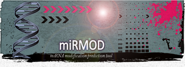 miRMOD: miRNA modification image